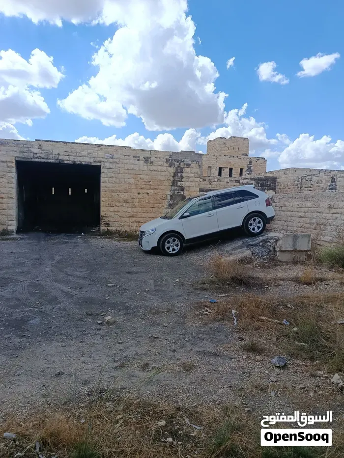Ford Edge 2011 photo 3