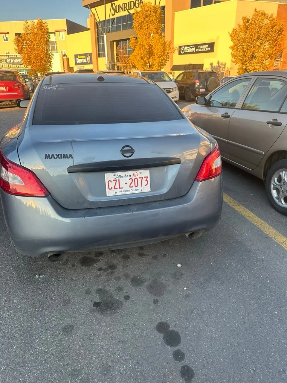 Nissan Maxima 2010 photo 2