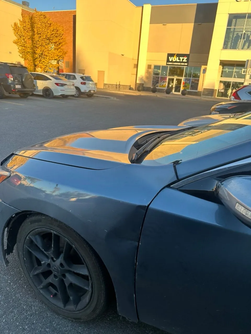 Nissan Maxima 2010 photo 3