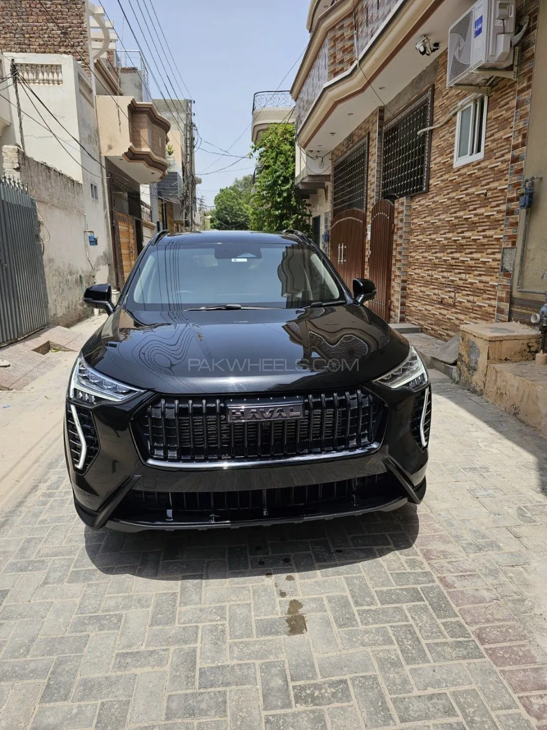 Haval Jolion