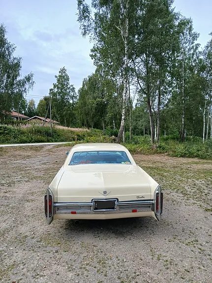 Cadillac Hardtop 1966 photo 3