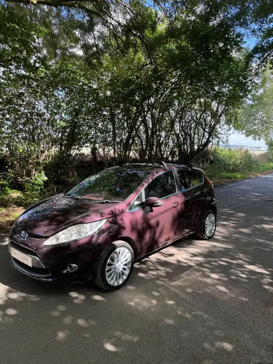 Ford Fiesta 2010 photo 2