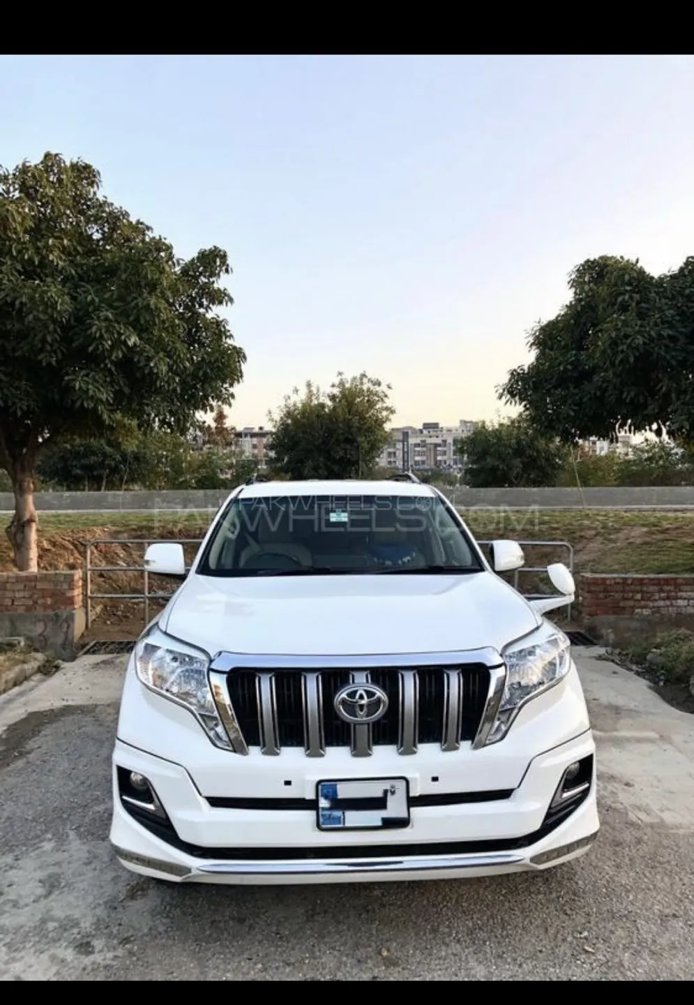 Toyota Prado