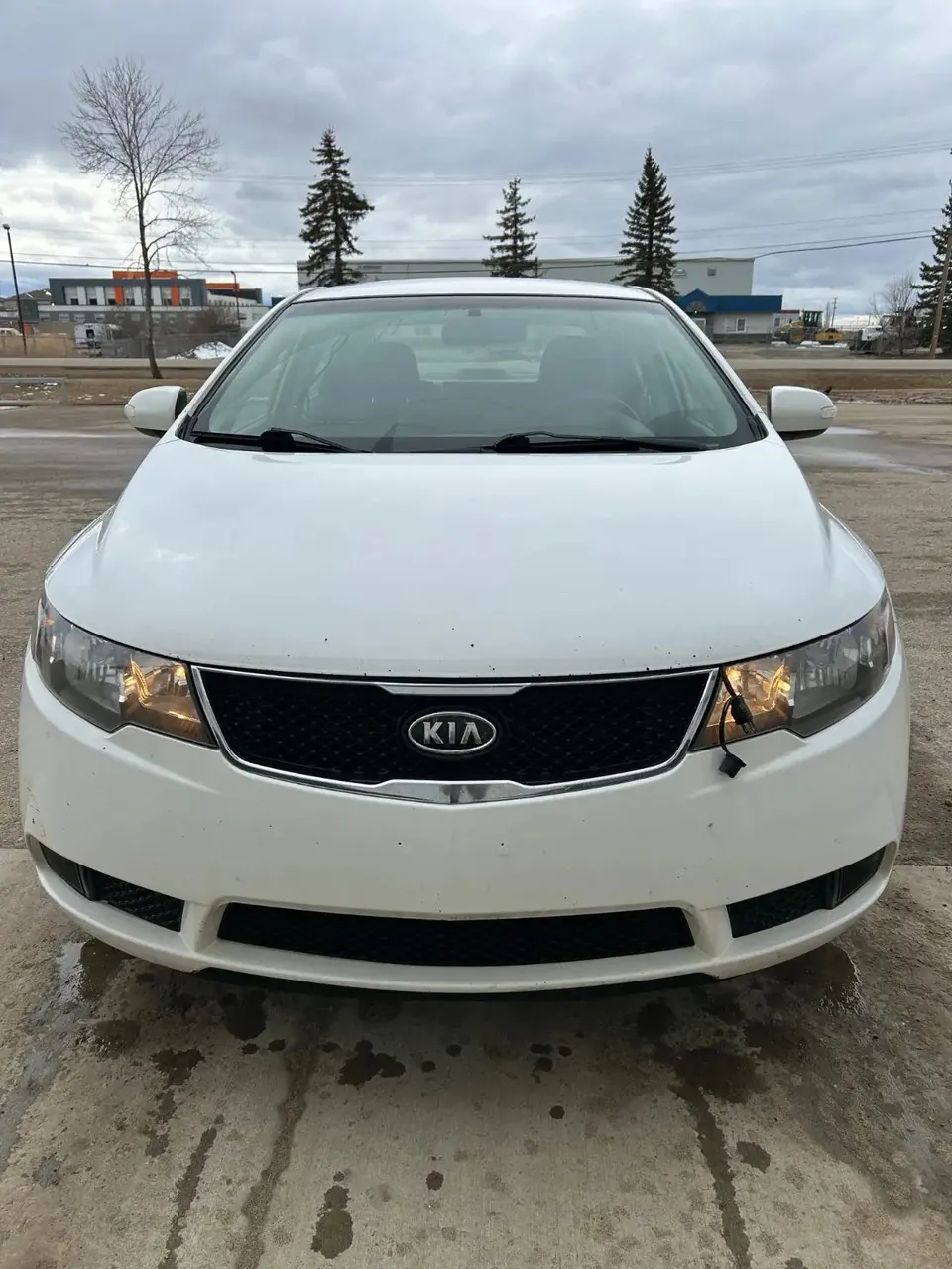 Kia Forte 2010 photo 3