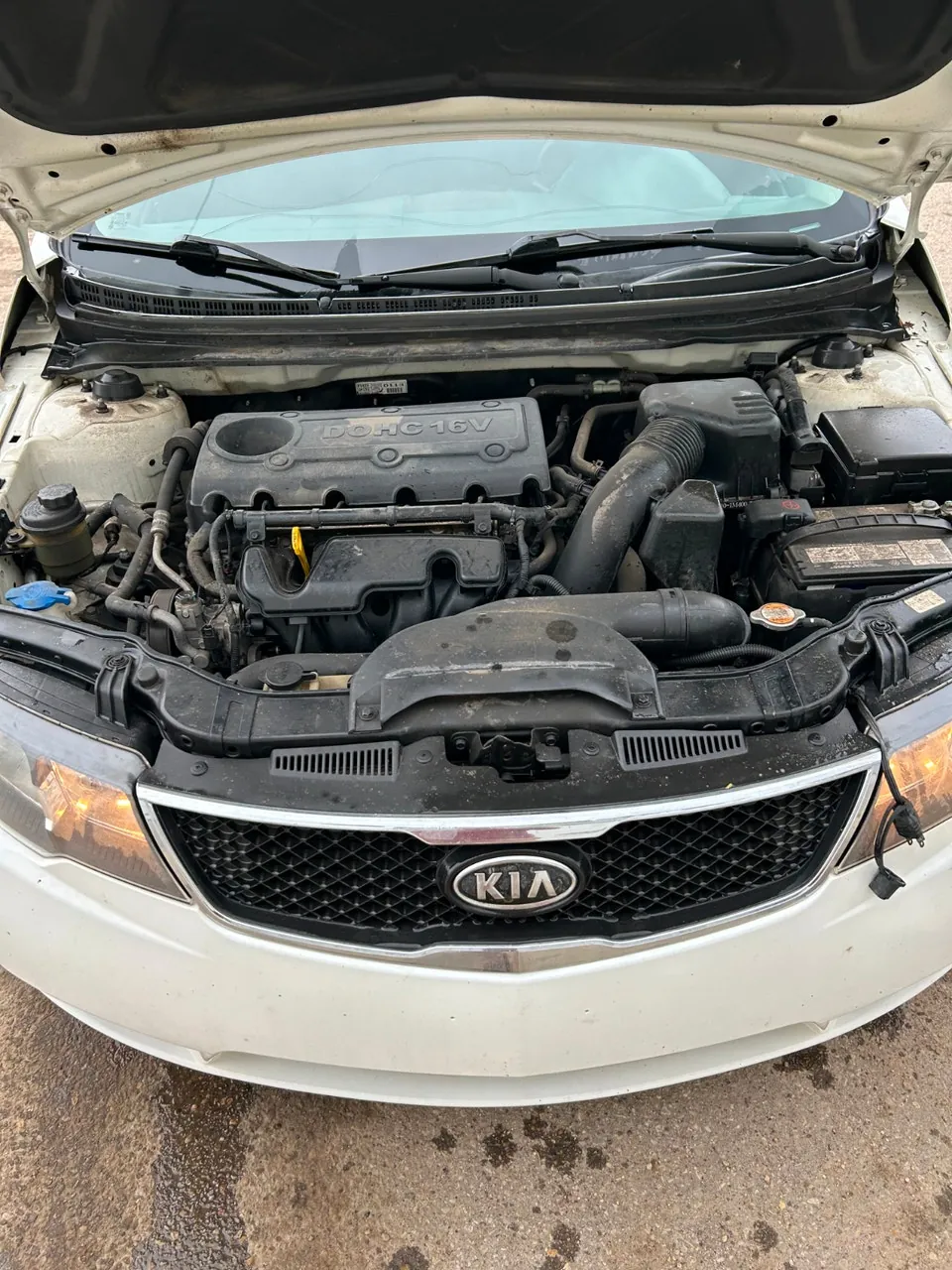 Kia Forte 2010 photo 4