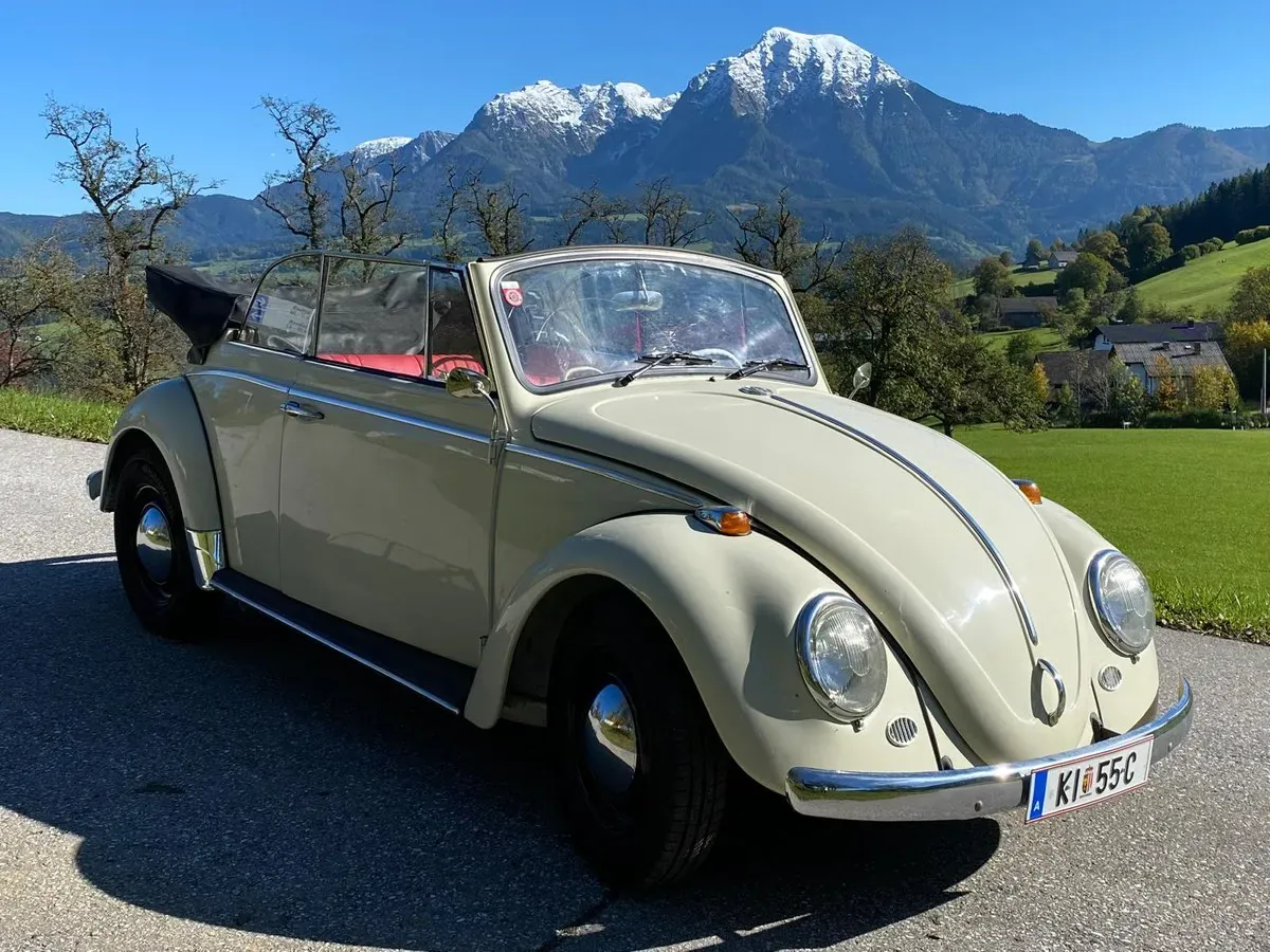 Volkswagen Käfer 1965 photo 3