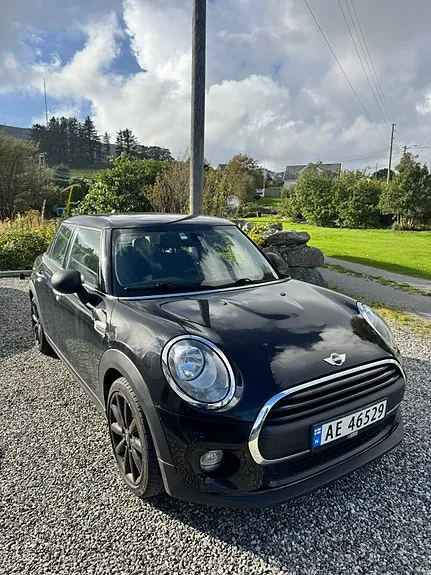 Mini One