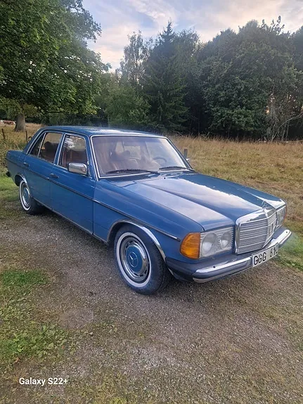 Mercedes-Benz 300 D 1979 photo 2