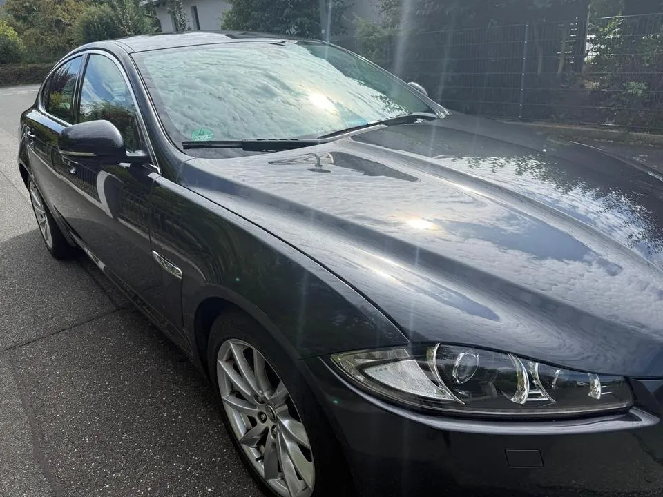 Jaguar Xf