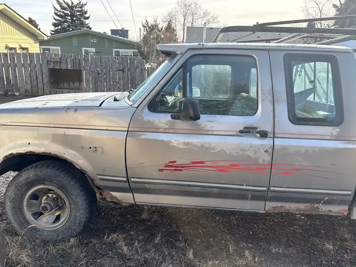 Ford F-150 1994 photo 3