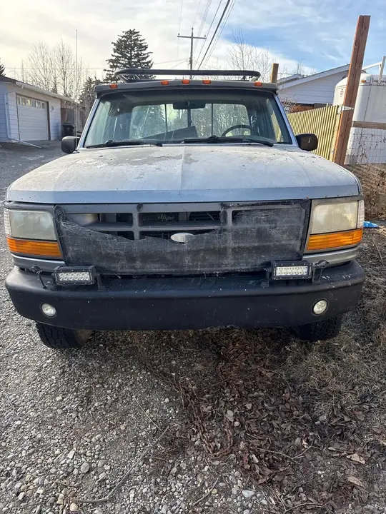 Ford F-150 1994 photo 2