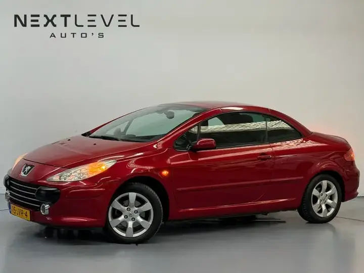 Peugeot 307 2006 photo 2