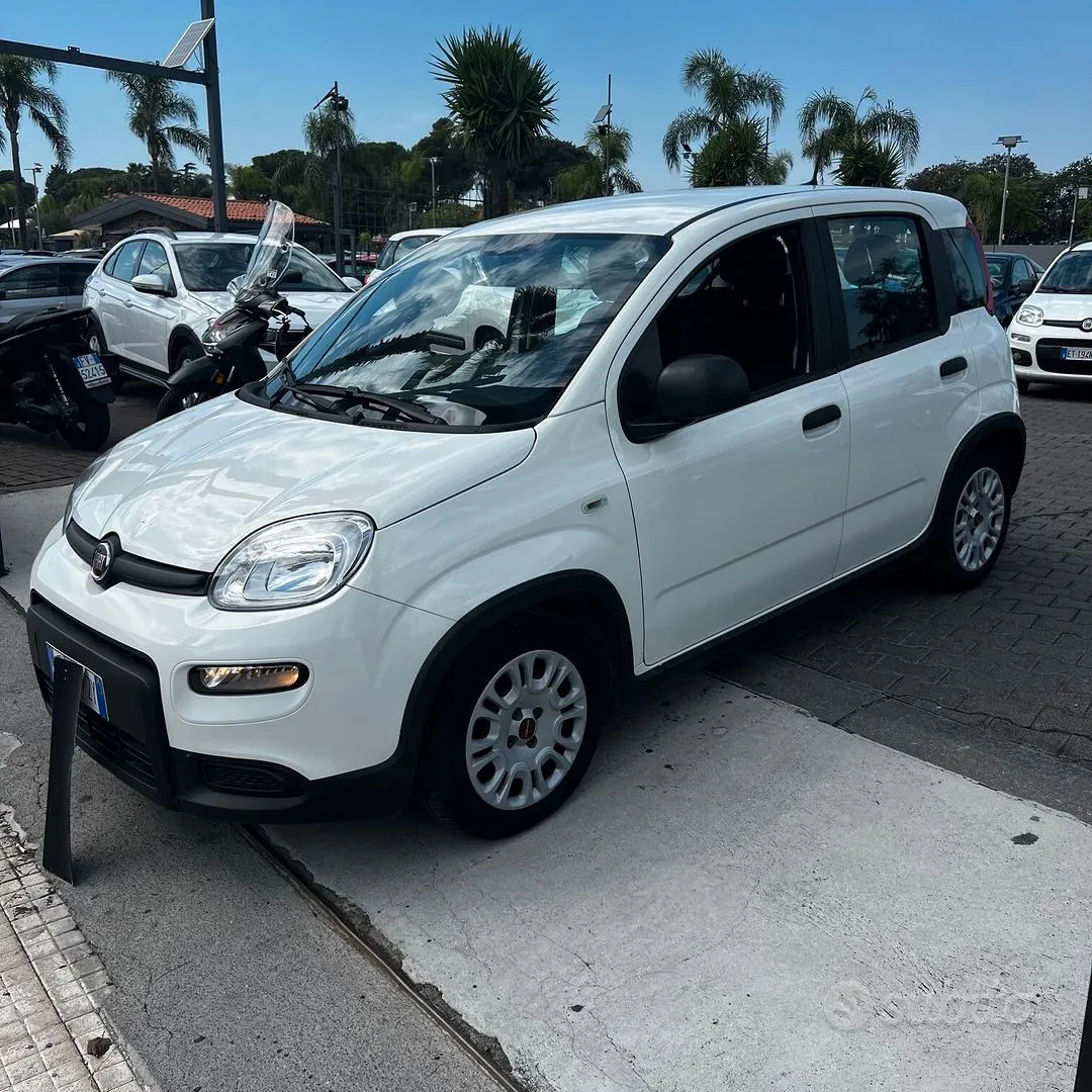 Fiat Panda 2024 photo 5