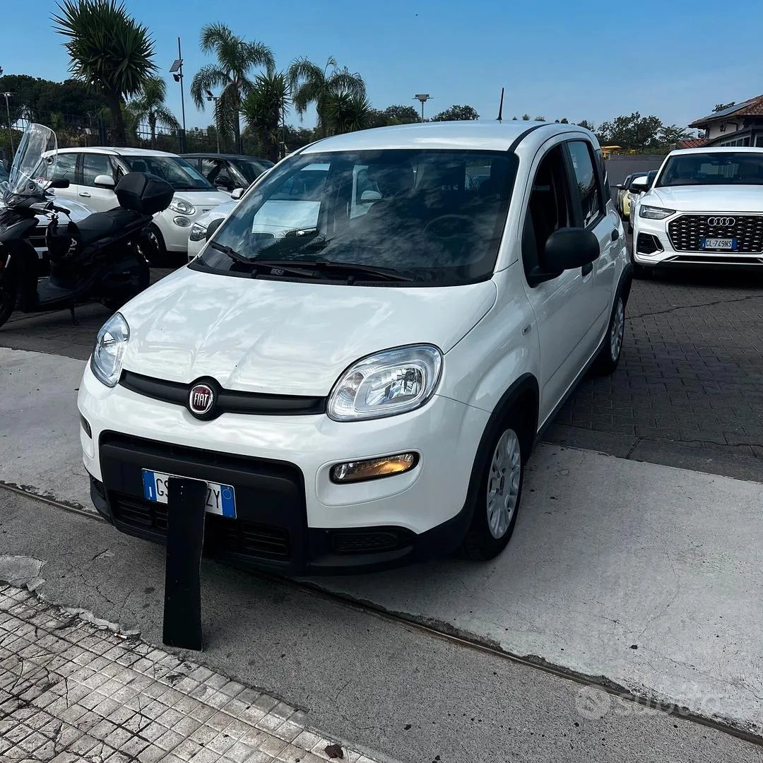 Fiat Panda 2024 photo 2