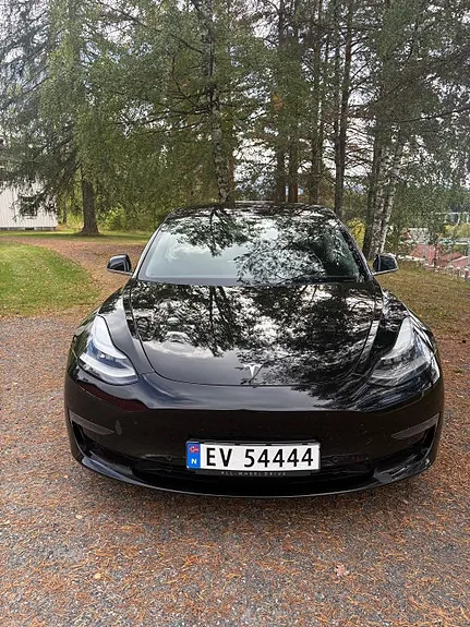Tesla Model 3 2019 photo 3