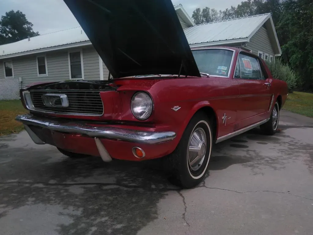 Ford Mustang 1964 photo 3