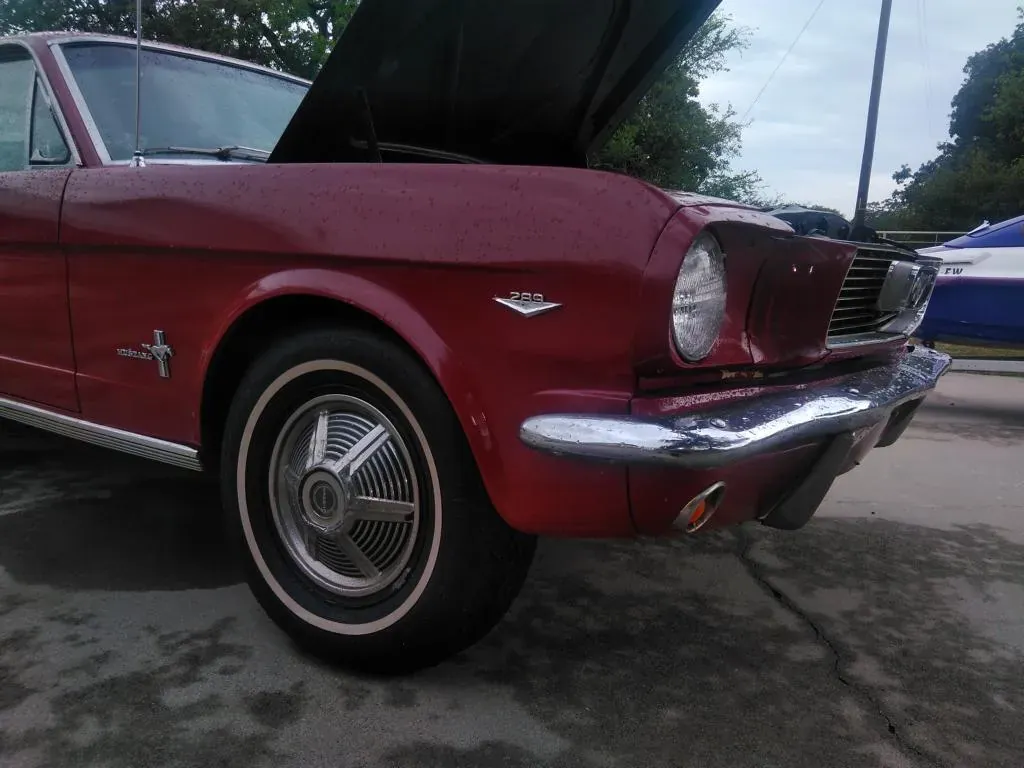 Ford Mustang 1964 photo 2