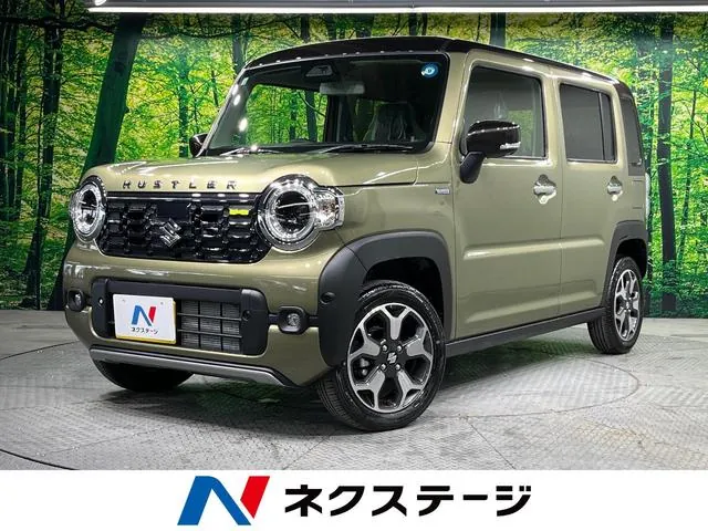 Suzuki Hailler Hybrid X