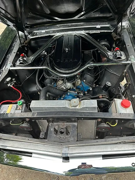 Ford Mustang 1965 photo 4