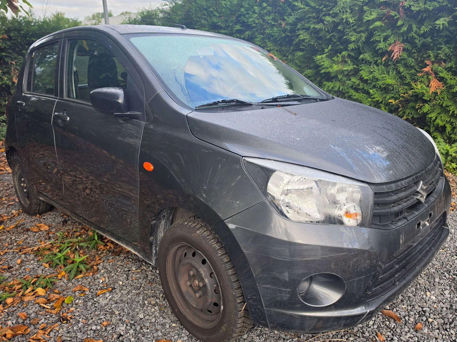 Suzuki Celerio