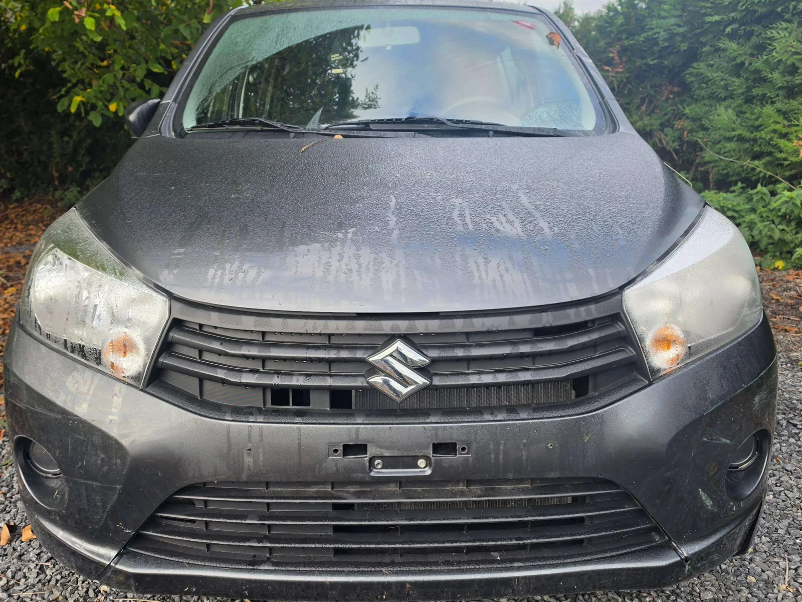 Suzuki Celerio 2016 photo 2