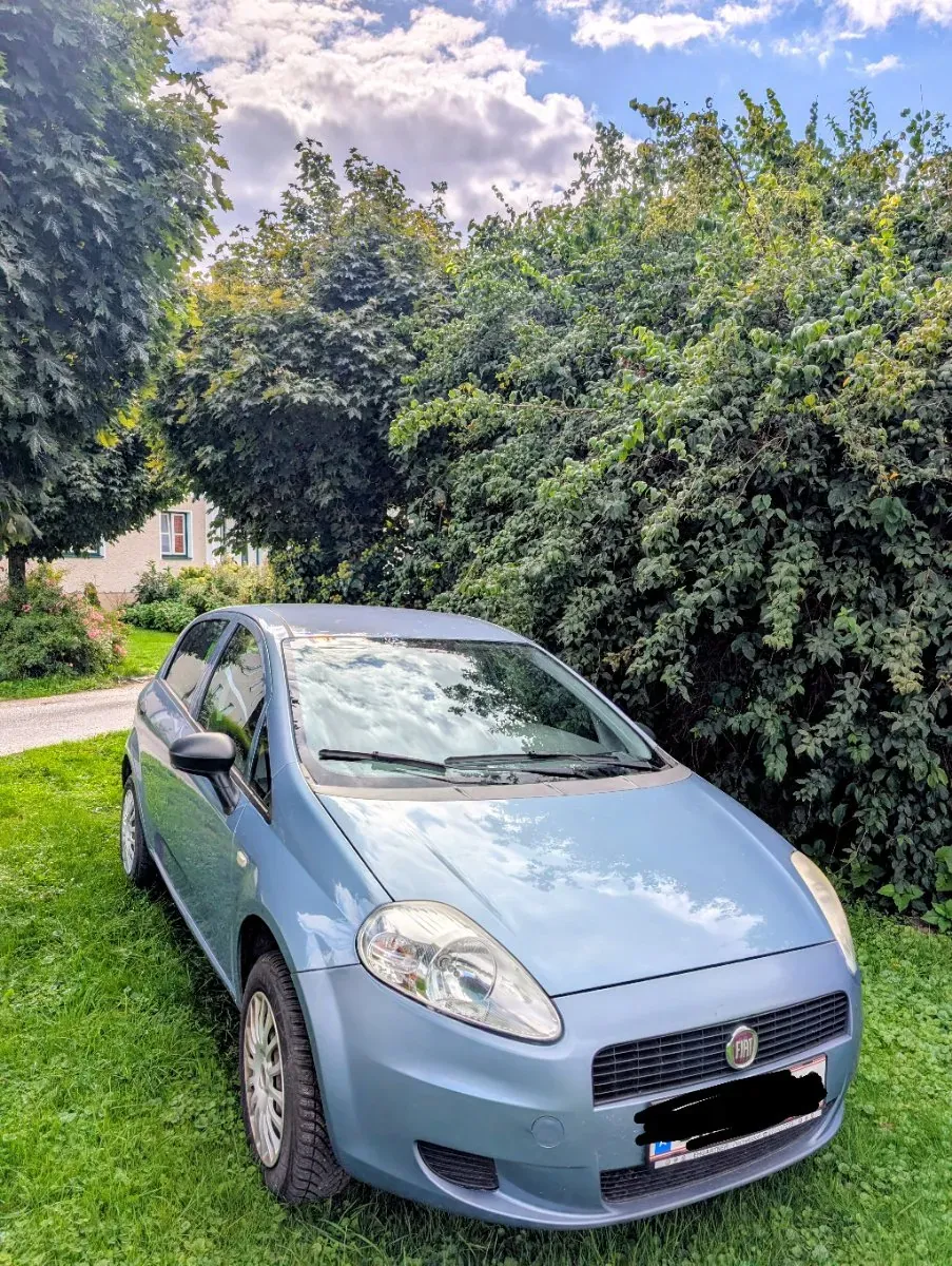 Fiat Punto 2010 photo 2