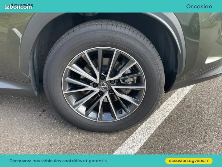 Lexus Nx 2025 photo 3