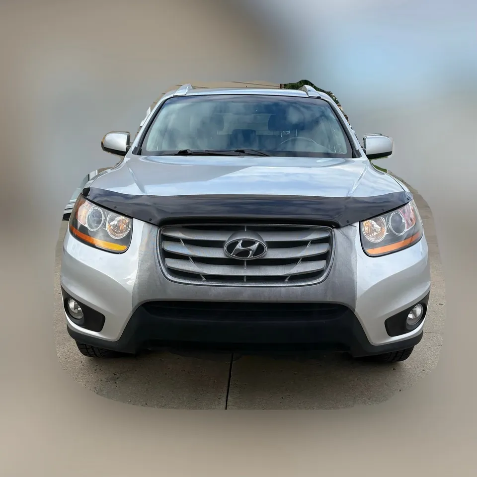 Hyundai Santa Fe 2011 photo 2