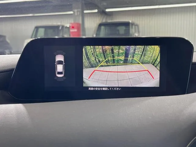 Mazda Mazda3 Sedan 2020 photo 5