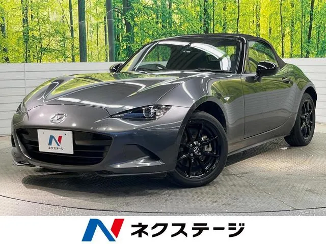 Mitsubishi Lourdstar