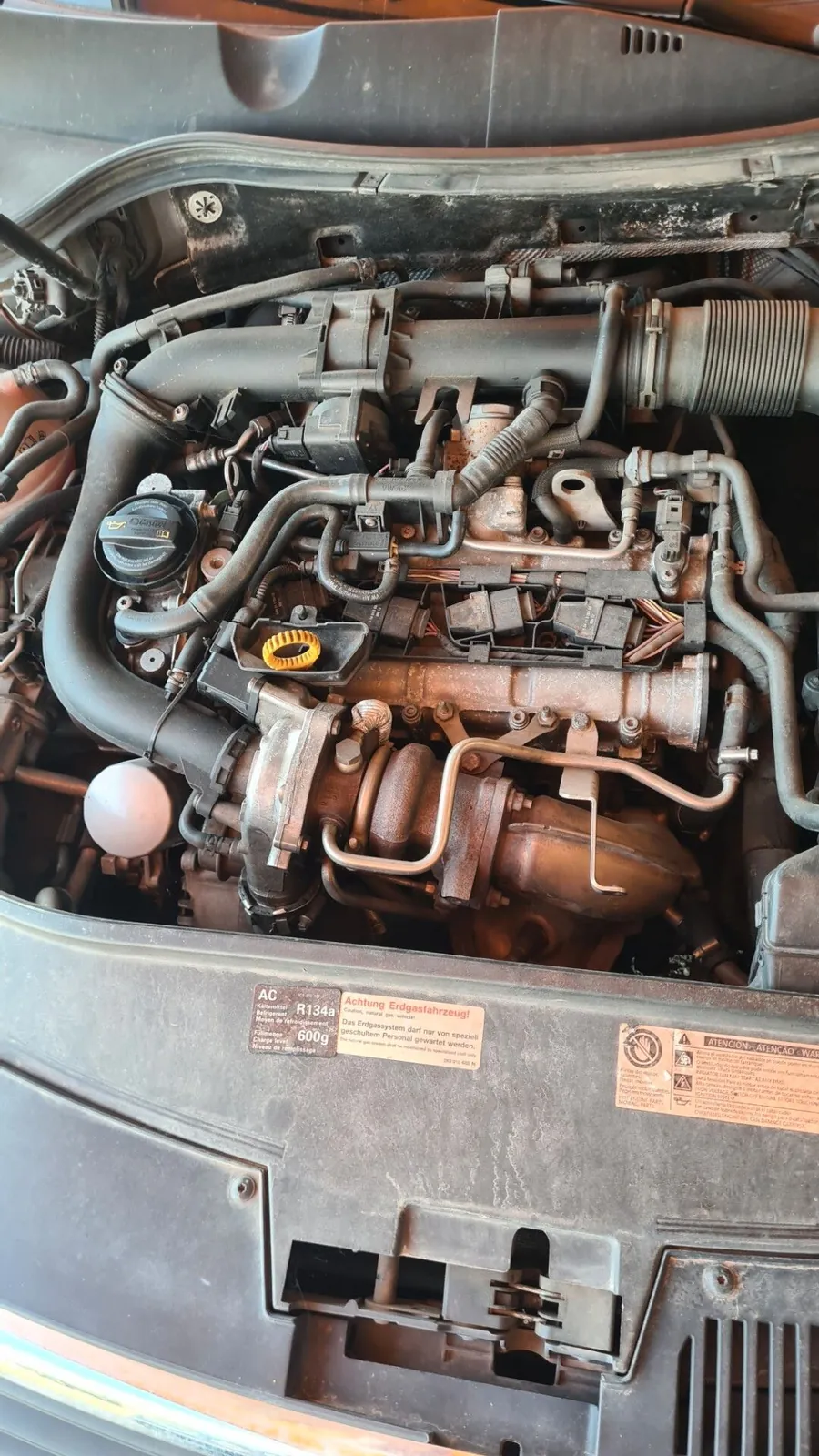 Volkswagen Passat 2010 photo 4