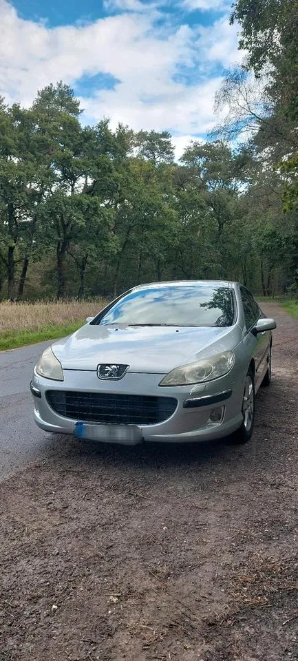 Peugeot 407