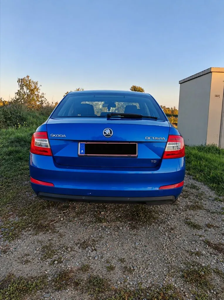 Skoda Octavia 2013 photo 3