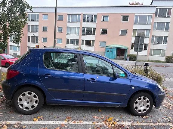 Peugeot 307 2004 photo 2