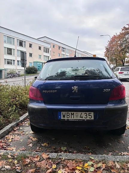 Peugeot 307 2004 photo 3
