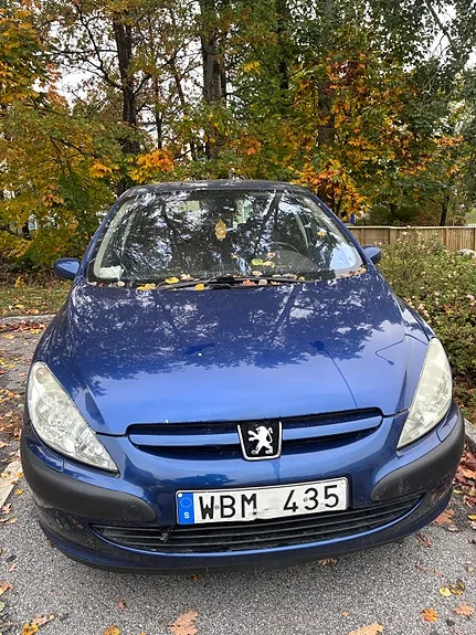 Peugeot 307
