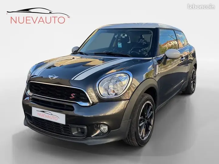 Mini Paceman