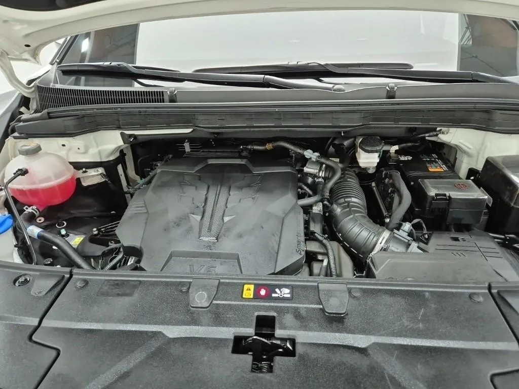 Kia Carnival 2024 photo 5