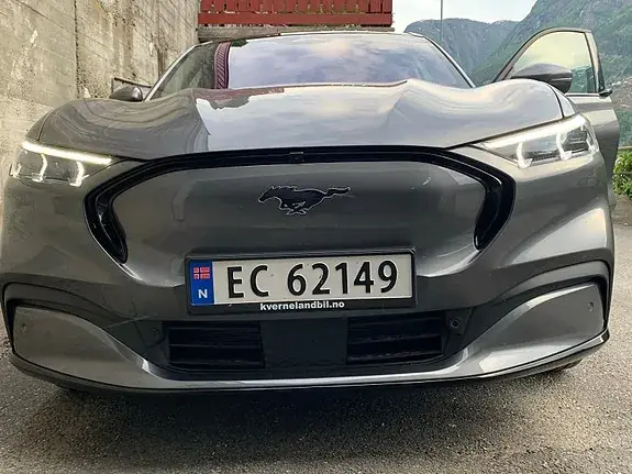 Ford Mustang Mach-E 2021 photo 4