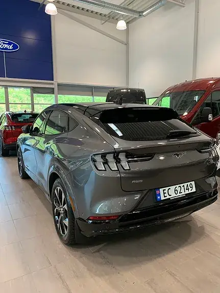 Ford Mustang Mach-E 2021 photo 2
