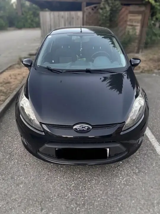 Ford Fiesta 2010 photo 3
