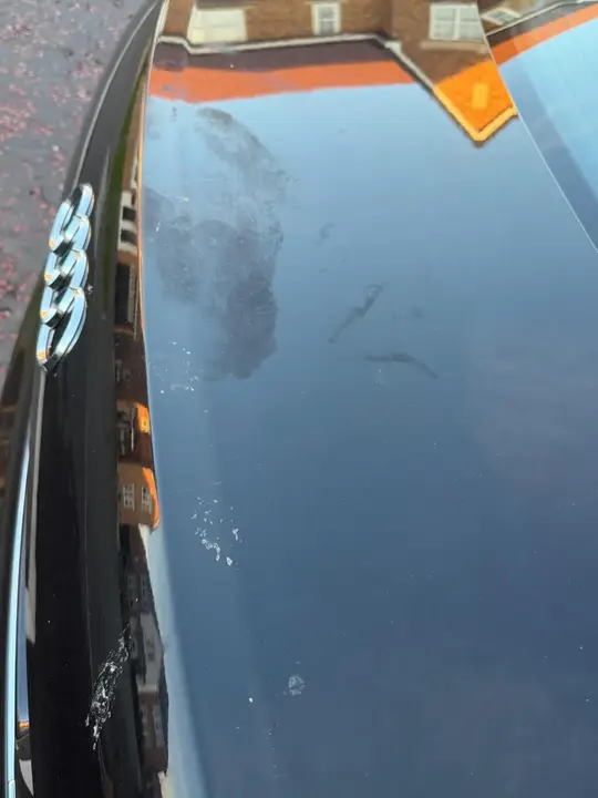 Audi A6 2009 photo 5
