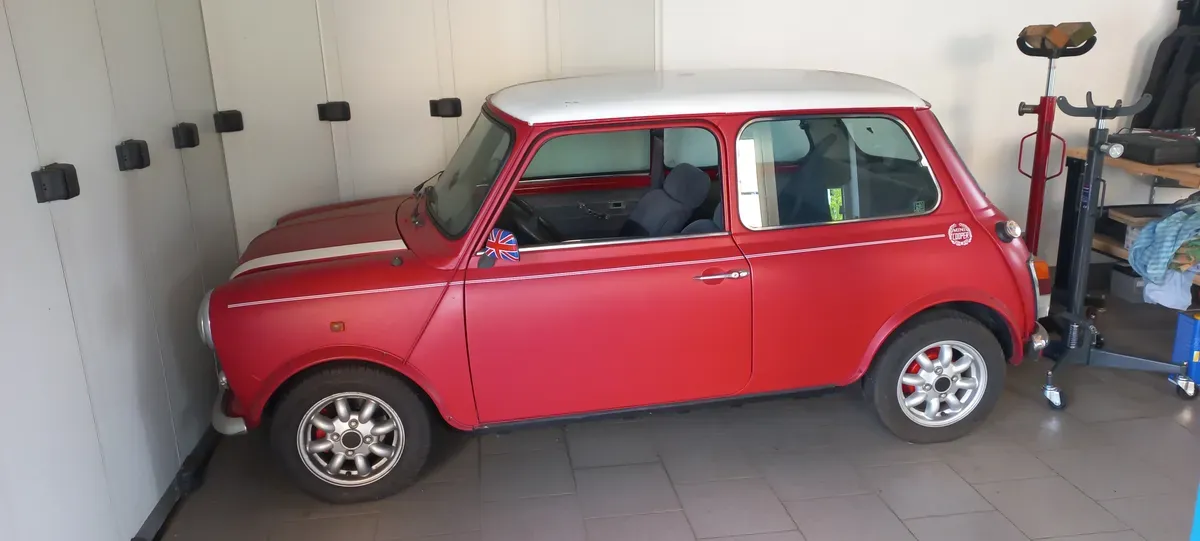 Mini Mini