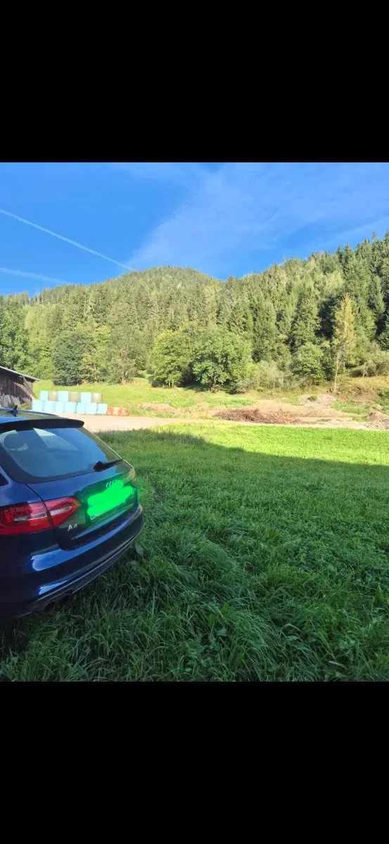Audi A4 2013 photo 2