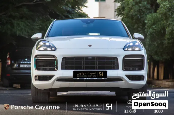 Porsche Cayenne 2021 photo 2