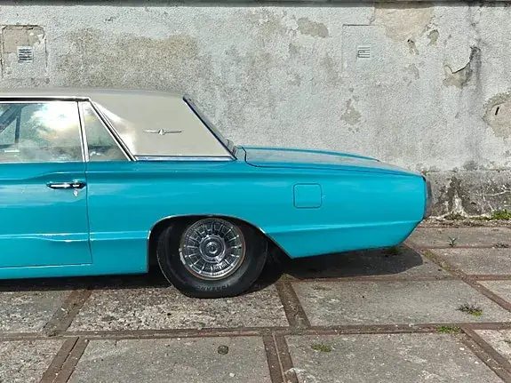 Ford Thunderbird 1964 photo 4