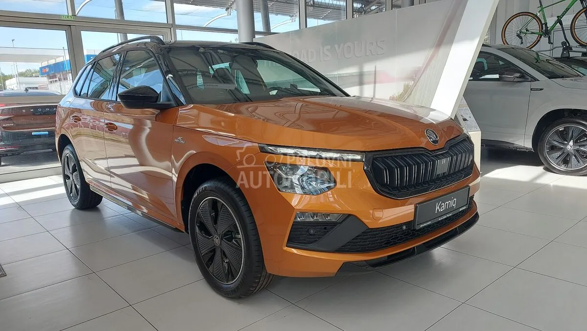 Skoda Kamiq 2026 photo 3