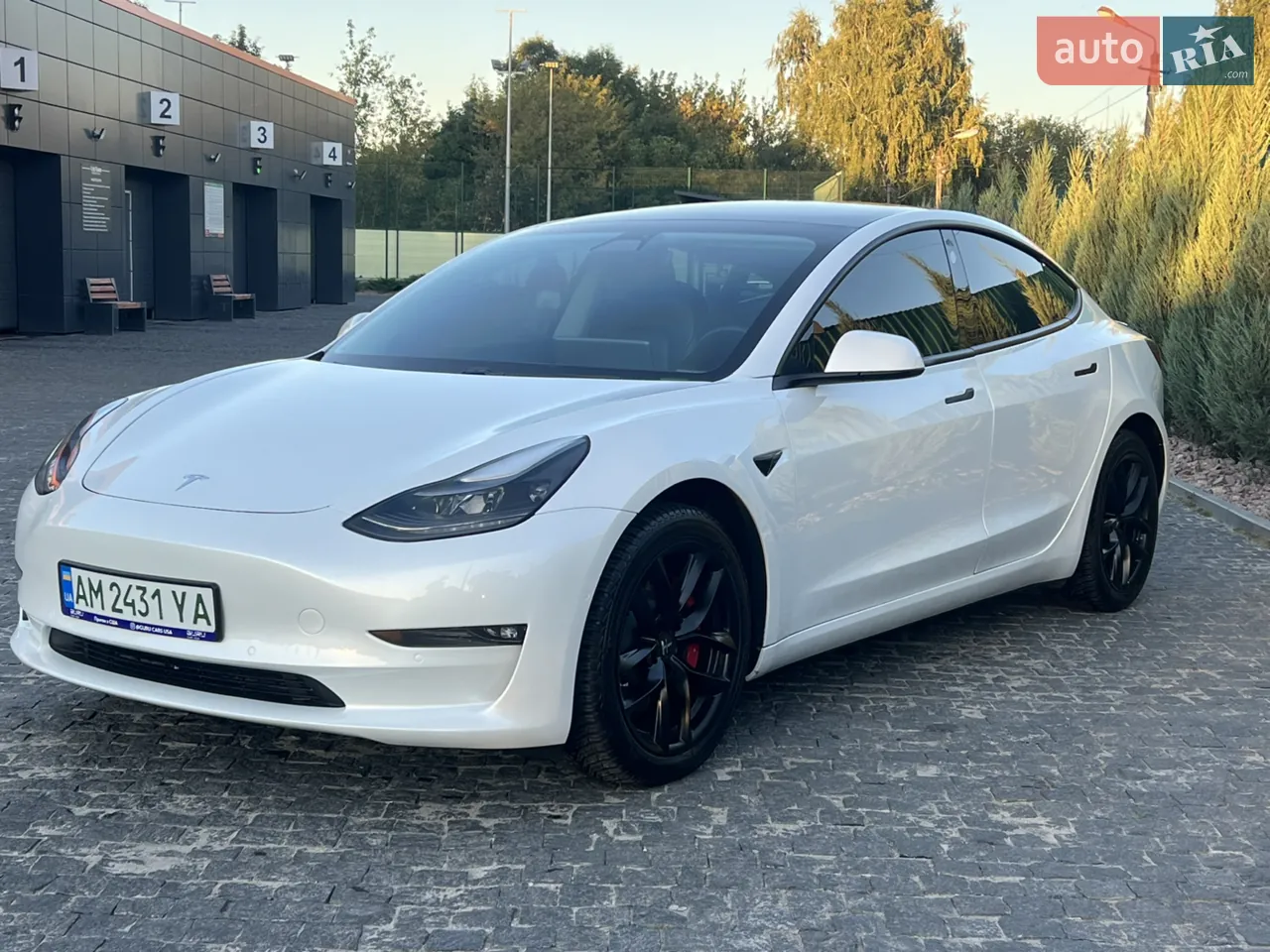 Tesla Model 3 2020 photo 2