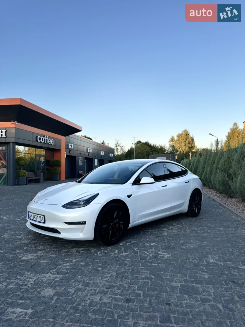 Tesla Model 3 2020 photo 5