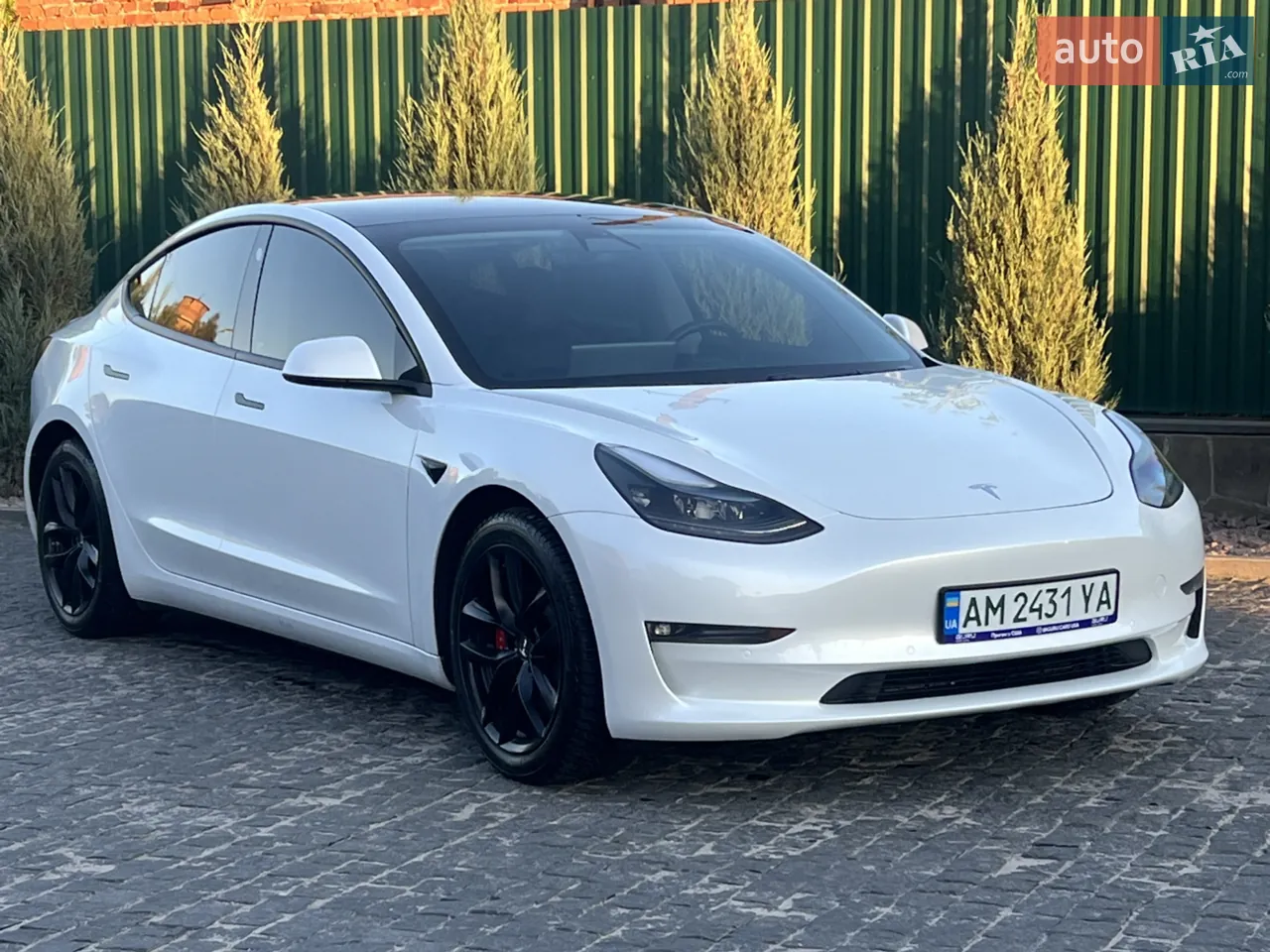 Tesla Model 3 2020 photo 4